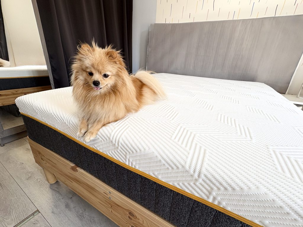 Emma Original Pro durante la nostra prova, su un letto in legno