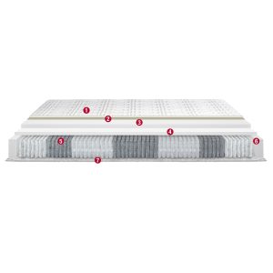 Permaflex Dome